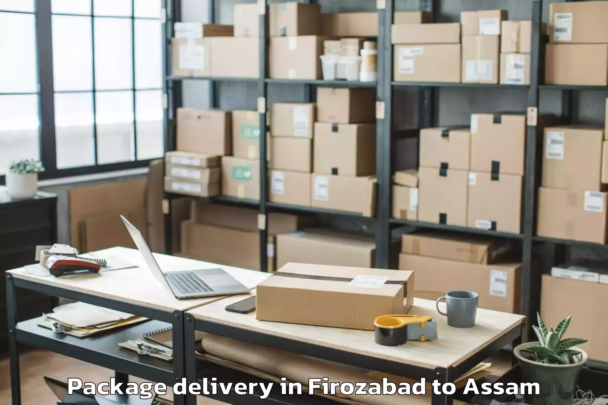 Professional Firozabad to Dhing Town Package Delivery